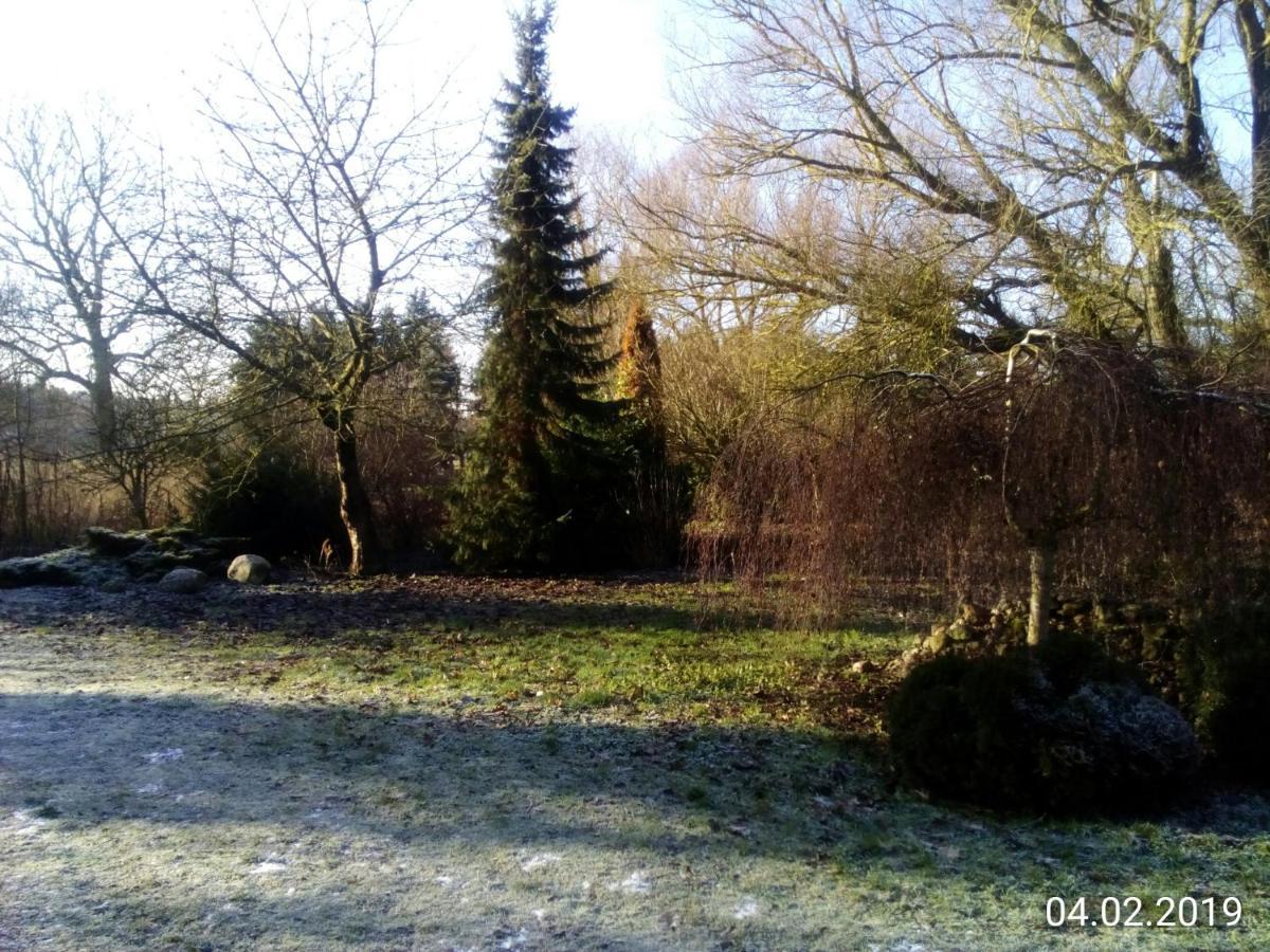 Hotel Leppiner Hof - B&B Fruehstueckspension Arendsee  Kültér fotó