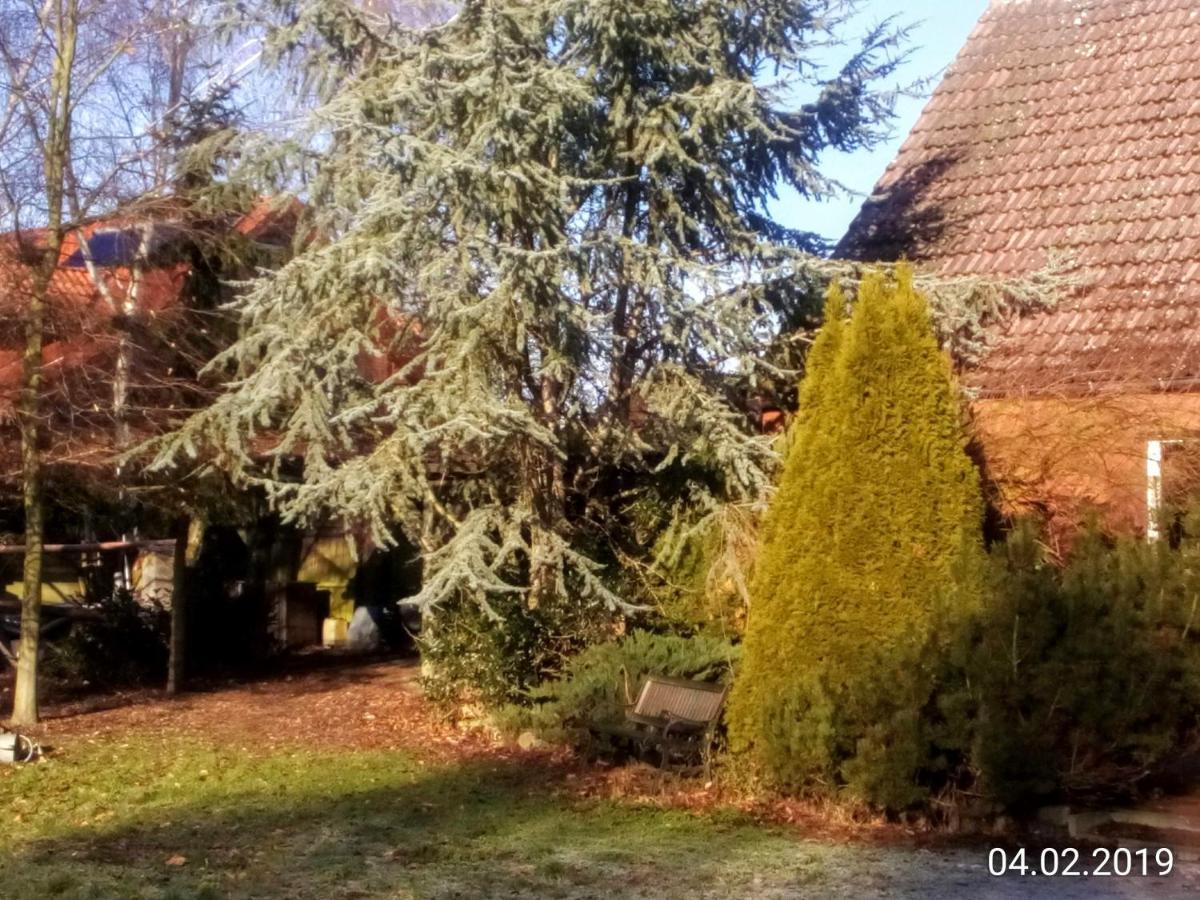 Hotel Leppiner Hof - B&B Fruehstueckspension Arendsee  Kültér fotó